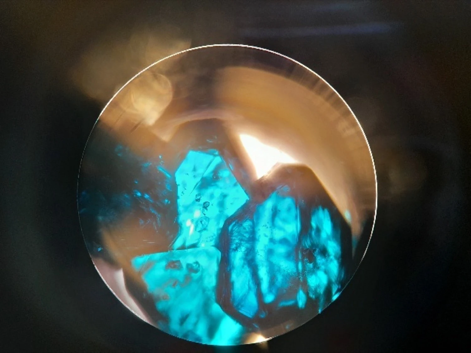 Grünspankristalle im Inneren eines Blechblasinstruments unter dem Mikroskop